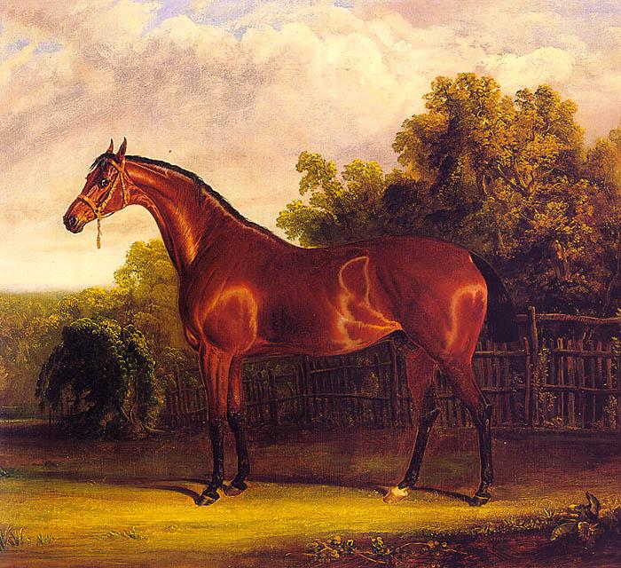 John F Herring Negotiator, the Bay Horse in a Landscape France oil painting art